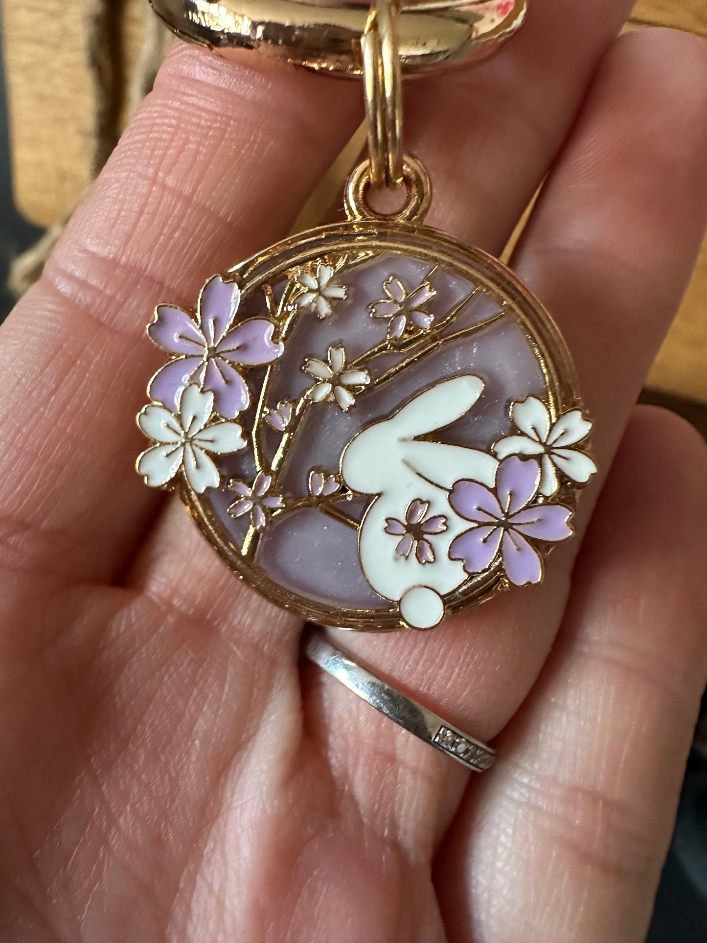 Spring bunnies