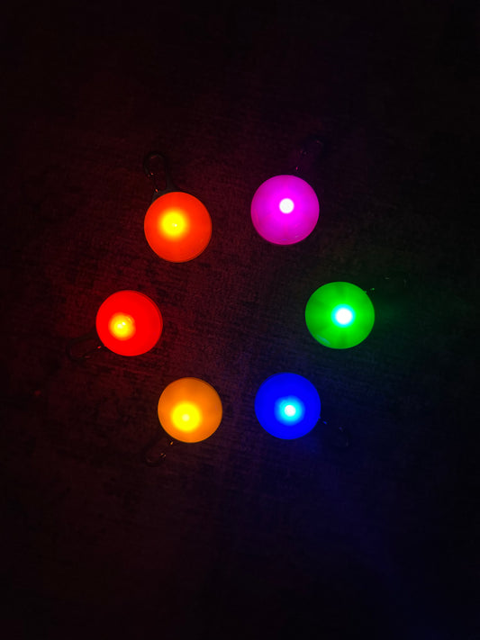 Dog collar night lights